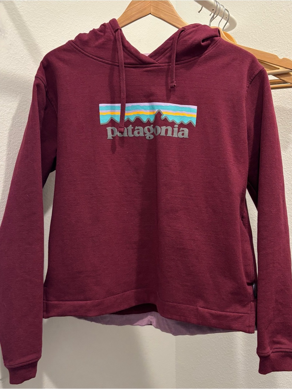Women’s Patagonia Hoodie